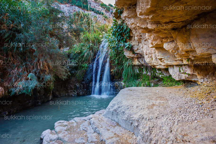 Ein Gedi Waterfall, Israel