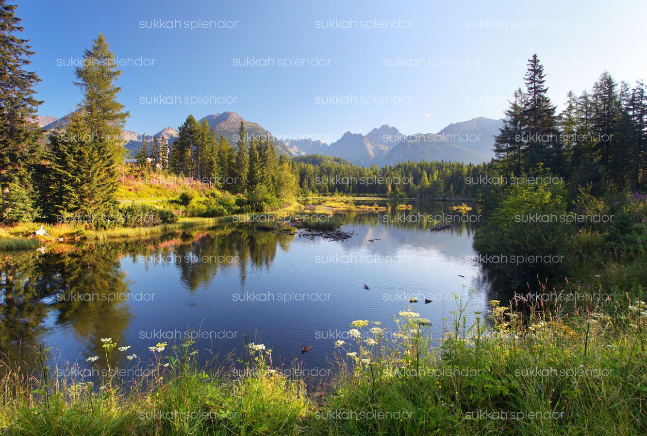 Magnificent Lake