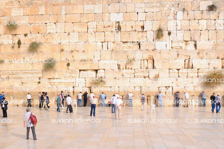 Kosel Banner